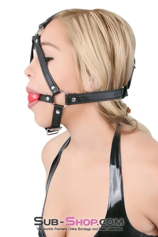 8993DL      Red Rubber Ballgag Bondage Trainer - MEGA Deal