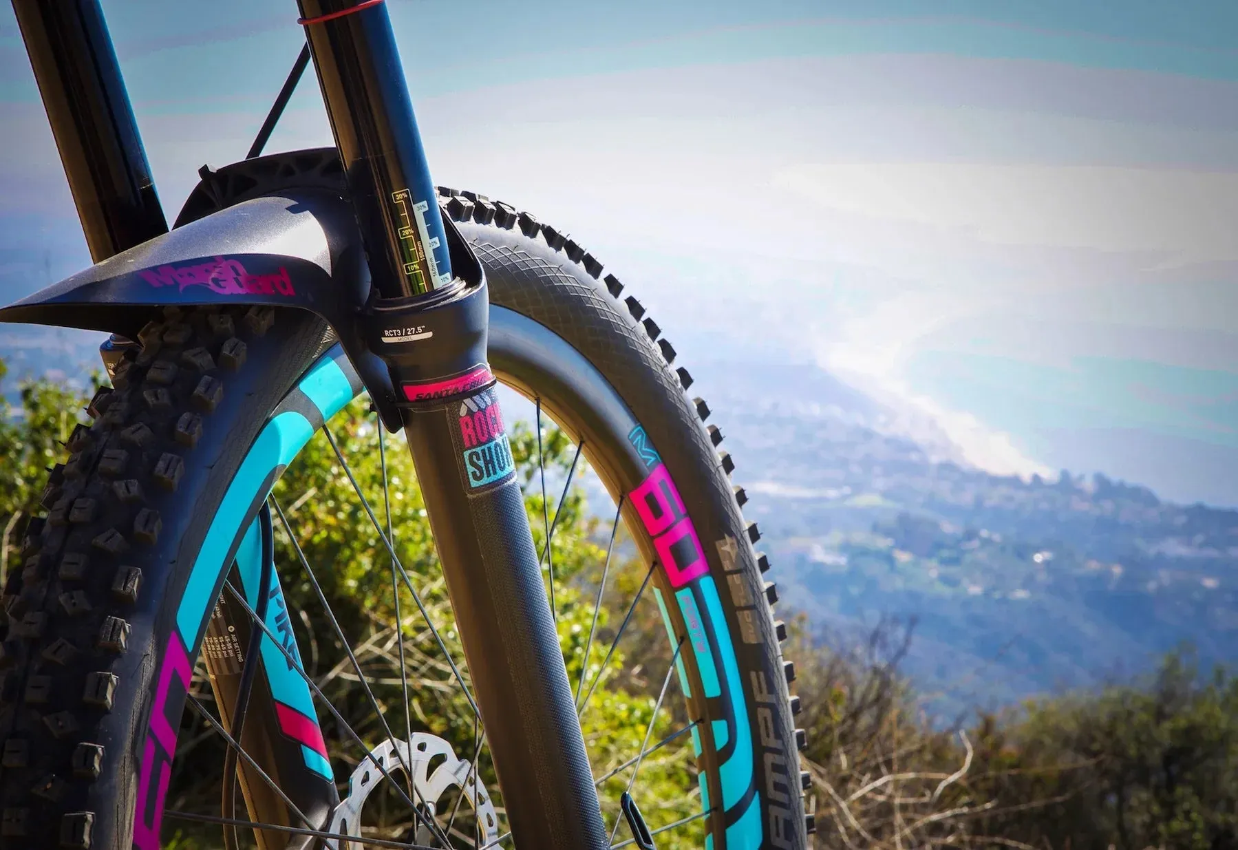 AMS HONEYCOMB FORK GUARD