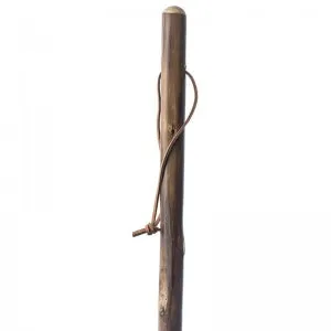 Chestnut Hiking Staff