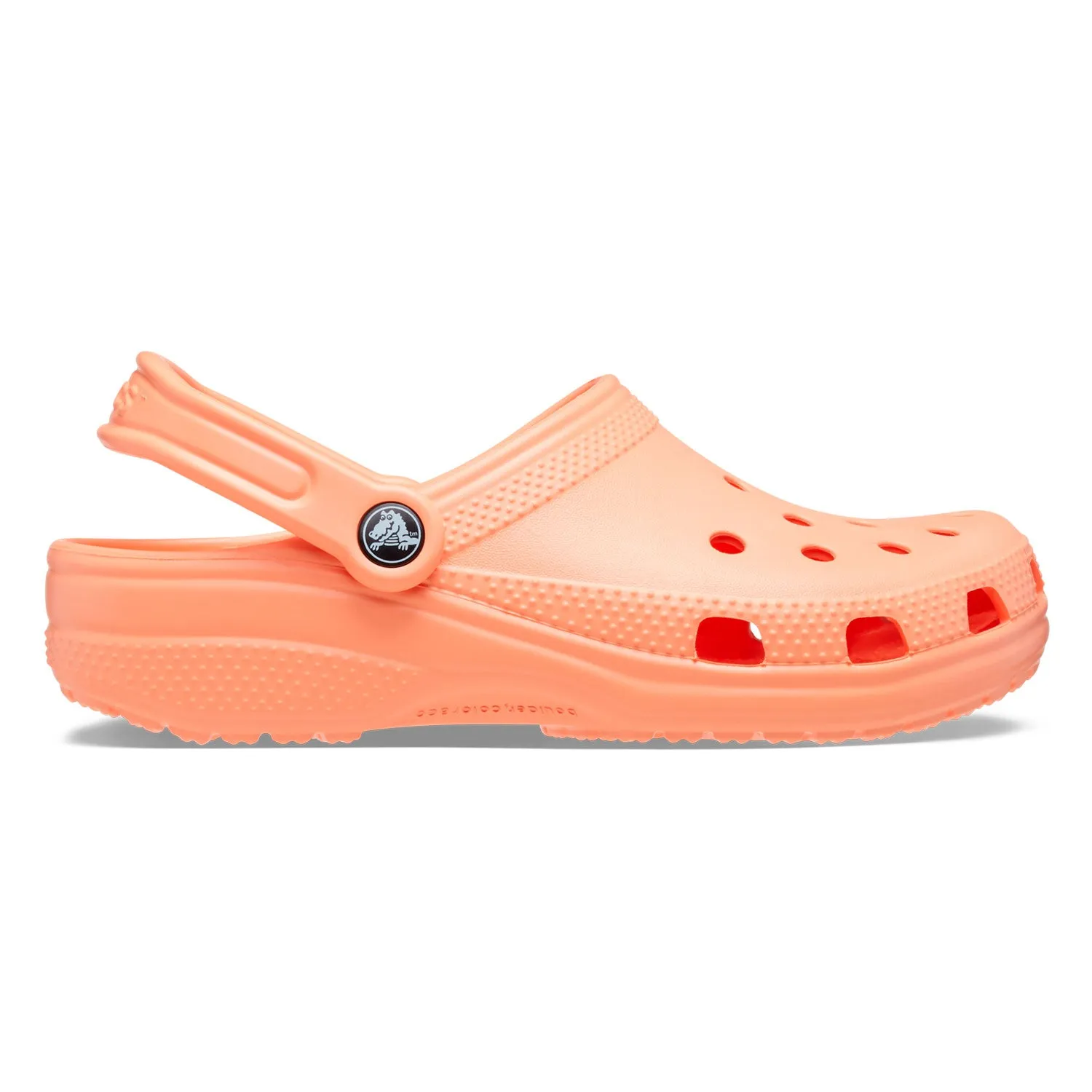 Classic Clog
