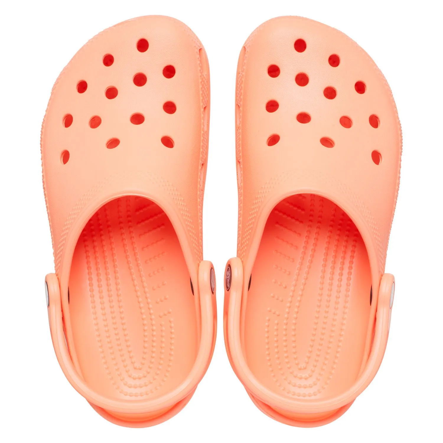 Classic Clog