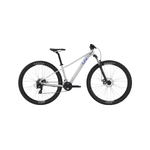 Liv Tempt 4 Mountain Bike - Silver