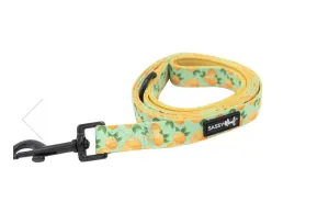 “Squeeze” Dog Leash